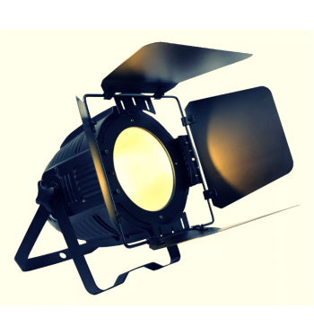 LED PAR COBE 200W